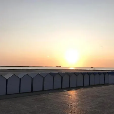 New Proche De Nausicaa 1000 Charme