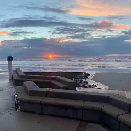 New Proche De Nausicaa 1000 Charme *